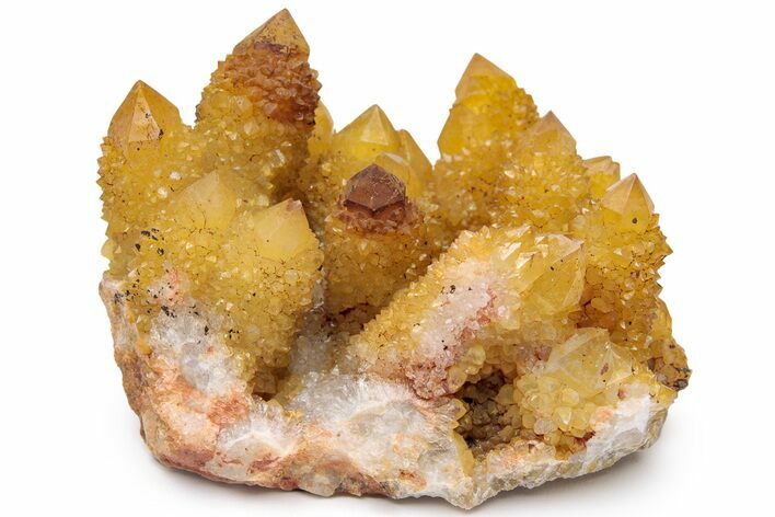 Sunshine Cactus Quartz Crystal Cluster - South Africa #217987